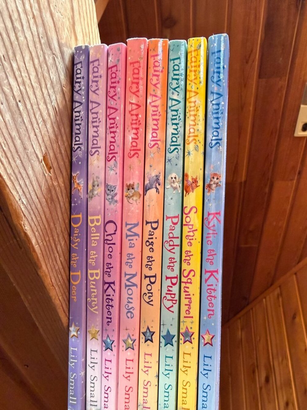 Fairy Animals Book Series by Lily Small